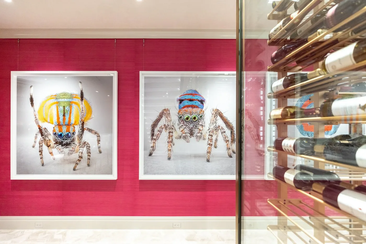 Maria Fernanda Cardoso