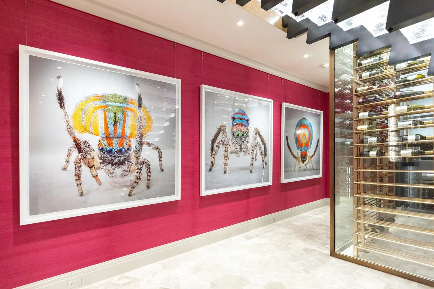 Maria Fernanda Cardoso