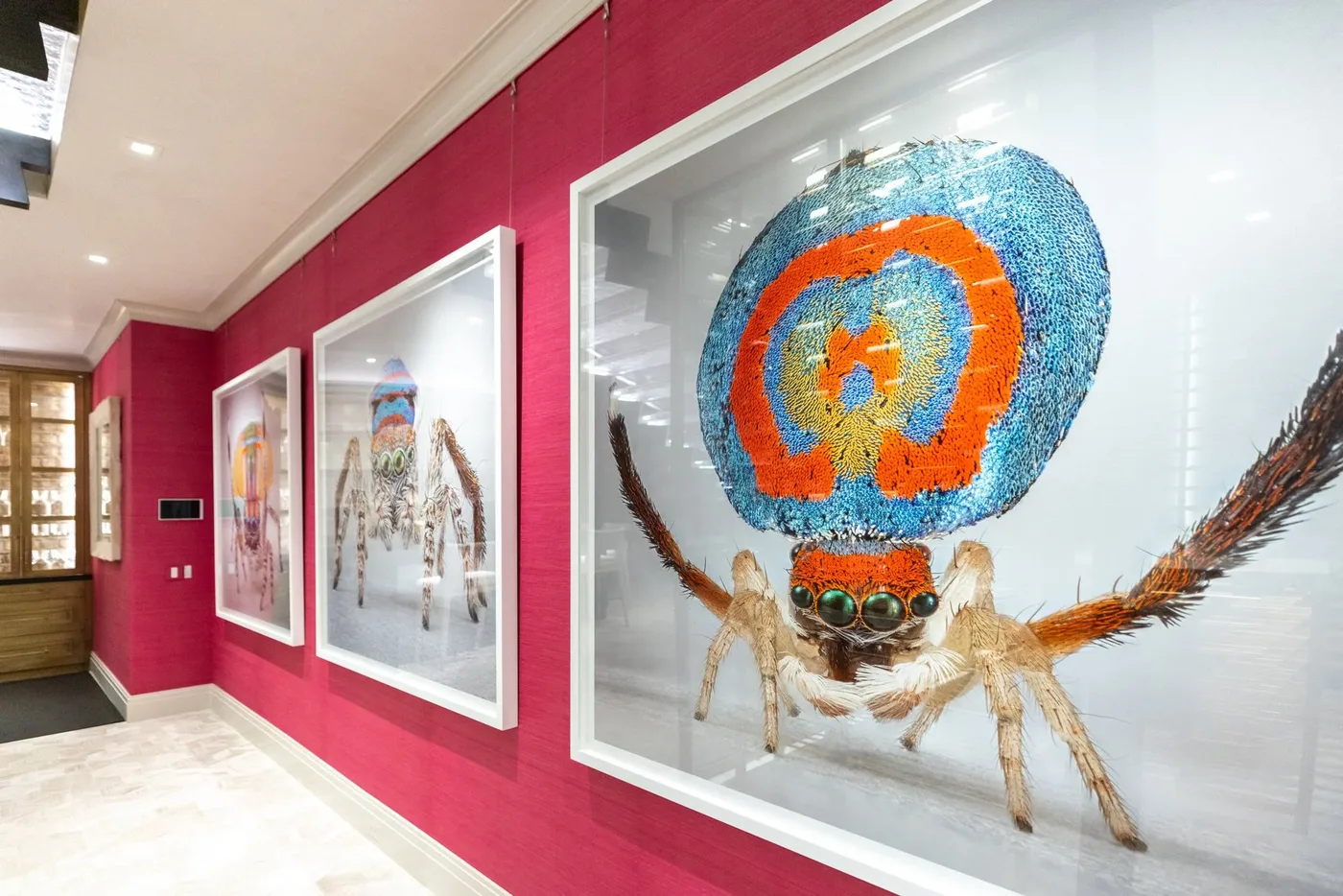 Maria Fernanda Cardoso